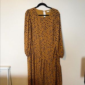 Roolee Cheetah Print Asymmetrical Hem Midi Dress